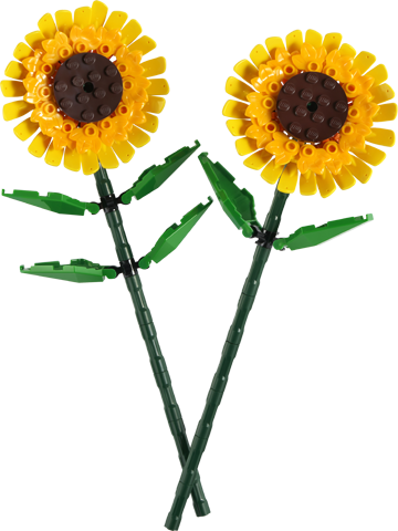 LEGO Botanicals - Suncokret